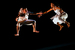 Alvin 
Ailey American Dance Theater vom  15. bis 27.07.2014 in der Kölner Philh