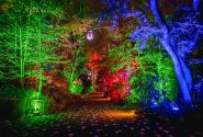 Christmas-Garden-Zoo-16_fm-11-2.jpg