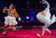 Clown_Bobylev_-_Gaense_Akt_klein1.jpg