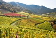 ahrtal_8157_dominik-ketz_1200x680.jpg