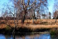 bachem_wan_eifelsteig01-01_565.jpg