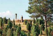 bachem_wan_musse02-01_565.jpg