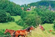 bachem_wan_olpe_idylle_565.jpg