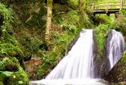 eifel-wandern-bach-AdobeStock_172832706_1200x680.jpg