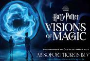 harrypotter-visionsofmagic.jpg