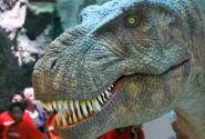 odysseum_dino_565_0.jpg