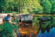 tippeltouren_tour-19_weiher_1200.jpg