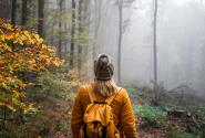 wandern-herbst-wald-AdobeStock_298814965_1200x680.jpg