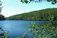wandern_rwe_heider-bergsee_565.jpg