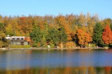 badesee_imago74170837_manngold_565.jpg