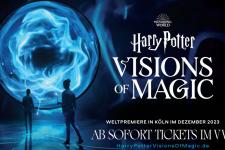 harrypotter-visionsofmagic.jpg