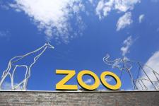 zoo_600.jpg