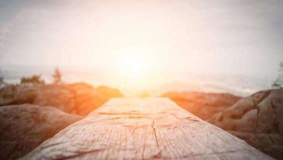 AdobeStock_240764265_web.jpg