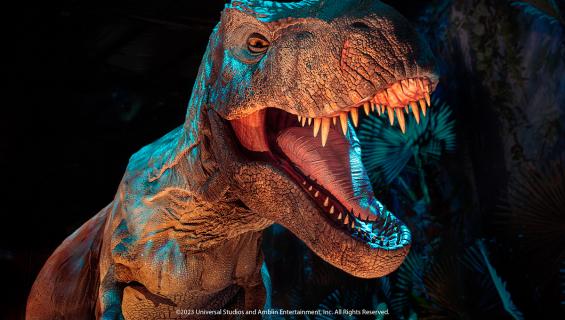 TREX_1200.jpg