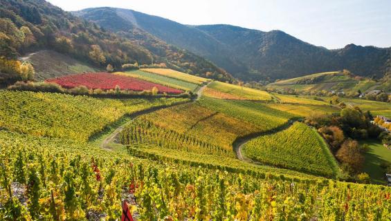 ahrtal_8157_dominik-ketz_1200x680.jpg