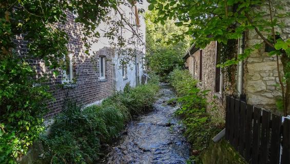 bensberger-see_gierather-muehle-1200x680.jpg
