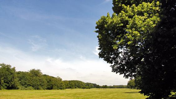 feierabendtour07_merheimer-heide_565.jpg