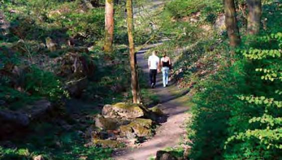 felsengarten_bachem_500x333.jpg