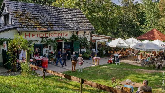 heidekoenig190810_hl-165849_1200x680.jpg heidekoenig190810_hl-165849_1200x680.jpg