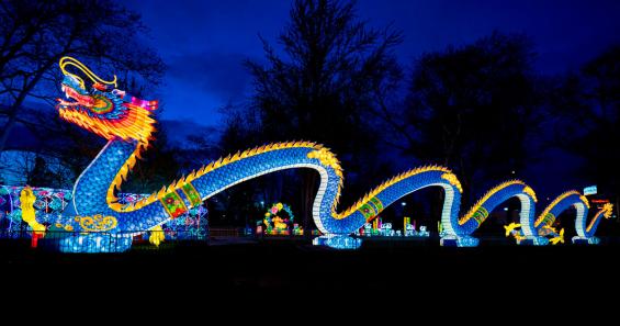 Zoo Mit Wow Effekt China Light Festival Macht Die Nacht Bunt Koeln De