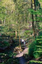 Der Felsengarten - Eine verwunschene Schlucht am Fort VI (Foto: Britta Schmitz)