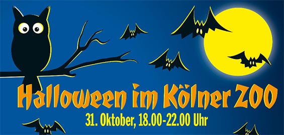 Halloween Im Kolner Zoo 2019 Alles Zum Gruselspass Koeln De