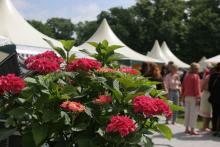 Die "Home & Garden" öffnet vom 28. April bis zum 1. Mai ihre Pforten im Kölner Rheinpark. (Foto: Home & Garden) Die "Home & Garden" öffnet vom 28. April bis zum 1. Mai ihre Pforten im Kölner Rheinpark. (Foto: Home & Garden)