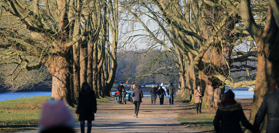 Lindenthal | koeln.de