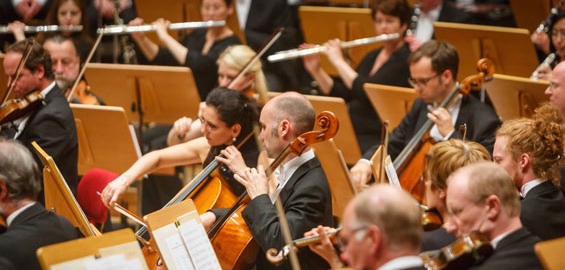 Die Wochenend-Tipps für Euren Sonntag in Köln | koeln.de