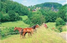 Idyllische Landschaften bieten sich dem Wanderer.