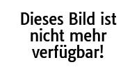 Pusteblume Zentrum Theater für behinderte und nicht-behinderte Kinder