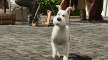 Der Terrier Struppi ist Tim auch im Film ein treuer Weggefährte. (Credit: Sony Pictures)