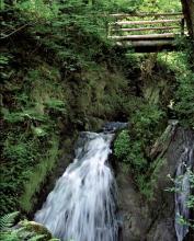Wasserfall im Enderttal (Foto: Rüffer/Rüffer-Lukowicz)