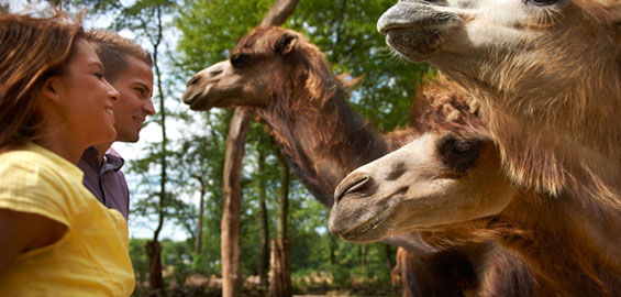 Foto: Pressefotos Zoom Erlebniswelt