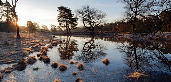 Die Fliegenbergtour Durch Die Wahner Heide Koeln de