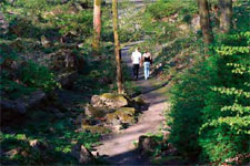 felsengarten_225.jpg