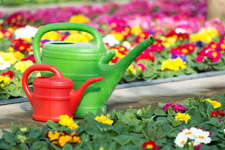 Kolns Grosste Gartencenter Im Uberblick Koeln De