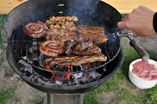grill_imago55923210_schoening_225.jpg