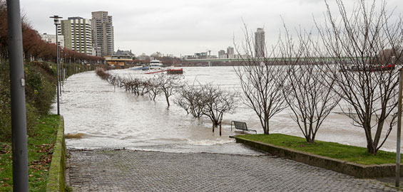 Hochwasserwelle Erreicht Scheitelpunkt Koeln De