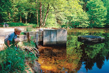 tippeltouren_tour-19_weiher_225.jpg