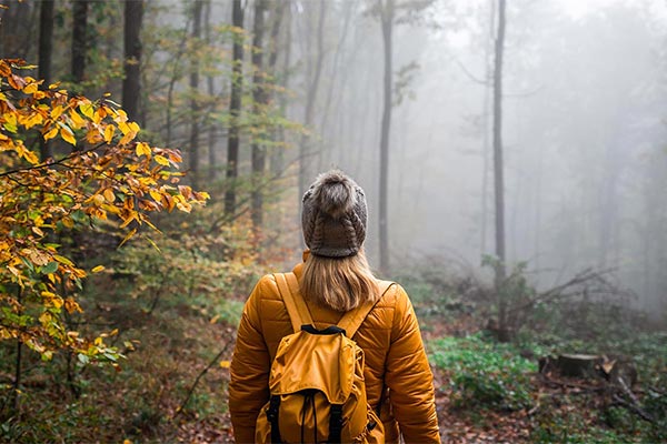 wandern-herbst-wald-AdobeStock_298814965_600x400.jpg