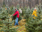 weihnachtsbaum_imago0058946858_becker-bredel_145x110.jpg