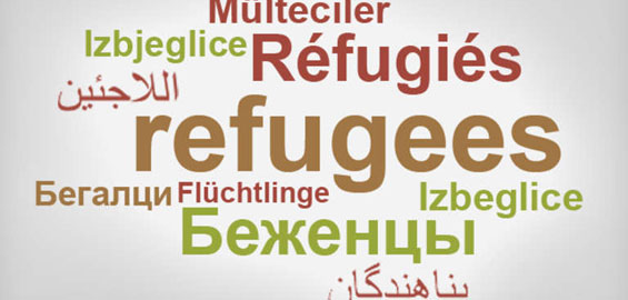 Fluchtlinge Stadt Richtet Hotline Fur Ehrenamtliche Helfer Ein Koeln De