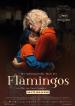 Der geheimnisvolle Blick des Flamingos Filmposter