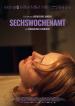 Sechswochenamt Filmposter