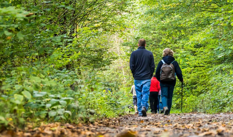 Eine Familie wandert durch einen Wald mit belaubten Bäumen.