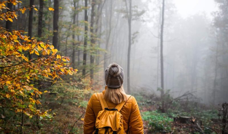 Frau wandert durch herbstlichen Wald.