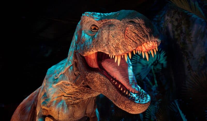 Dinosaurier TREX