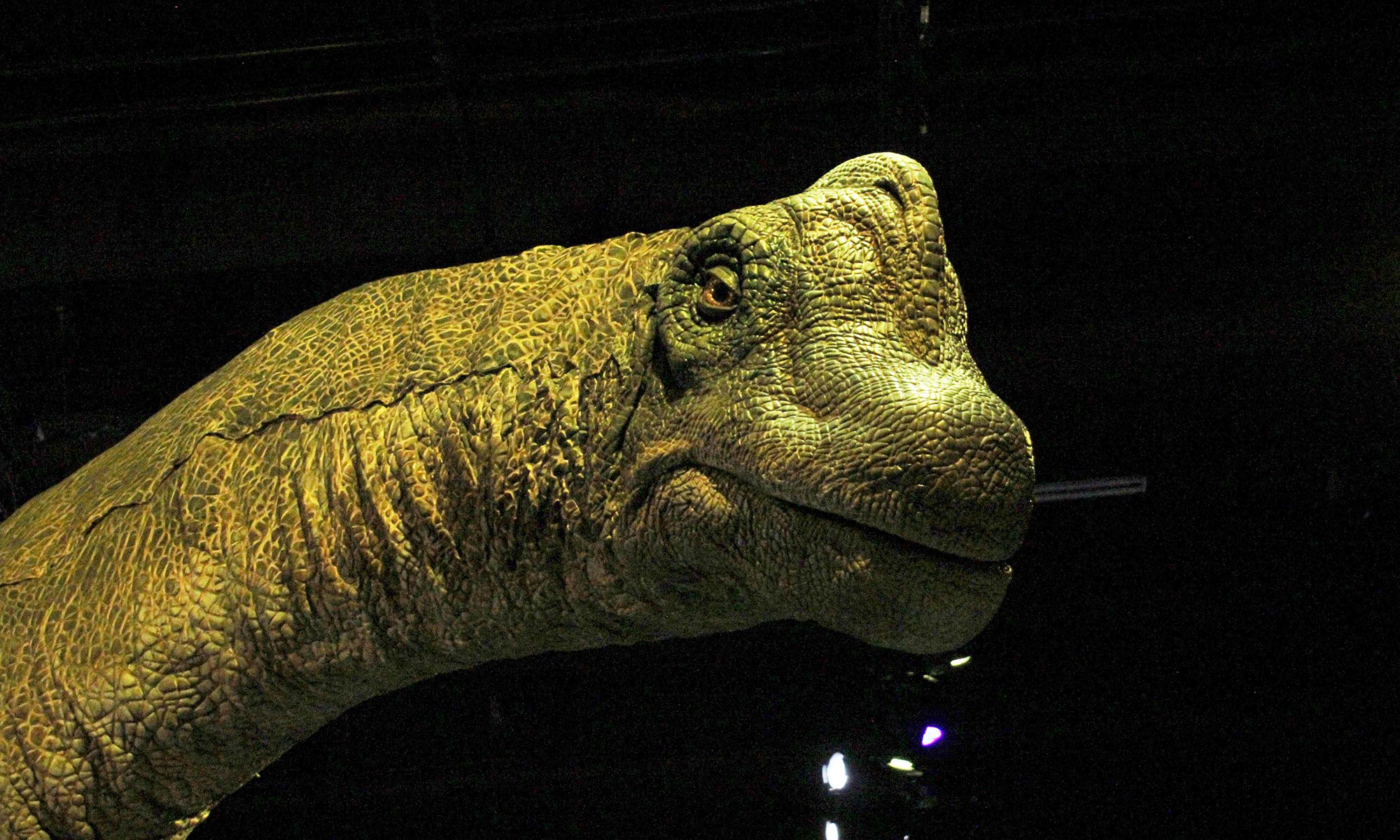 Dinosaurier der Ausstellung Jurassic World: The Exhibition im Odysseum