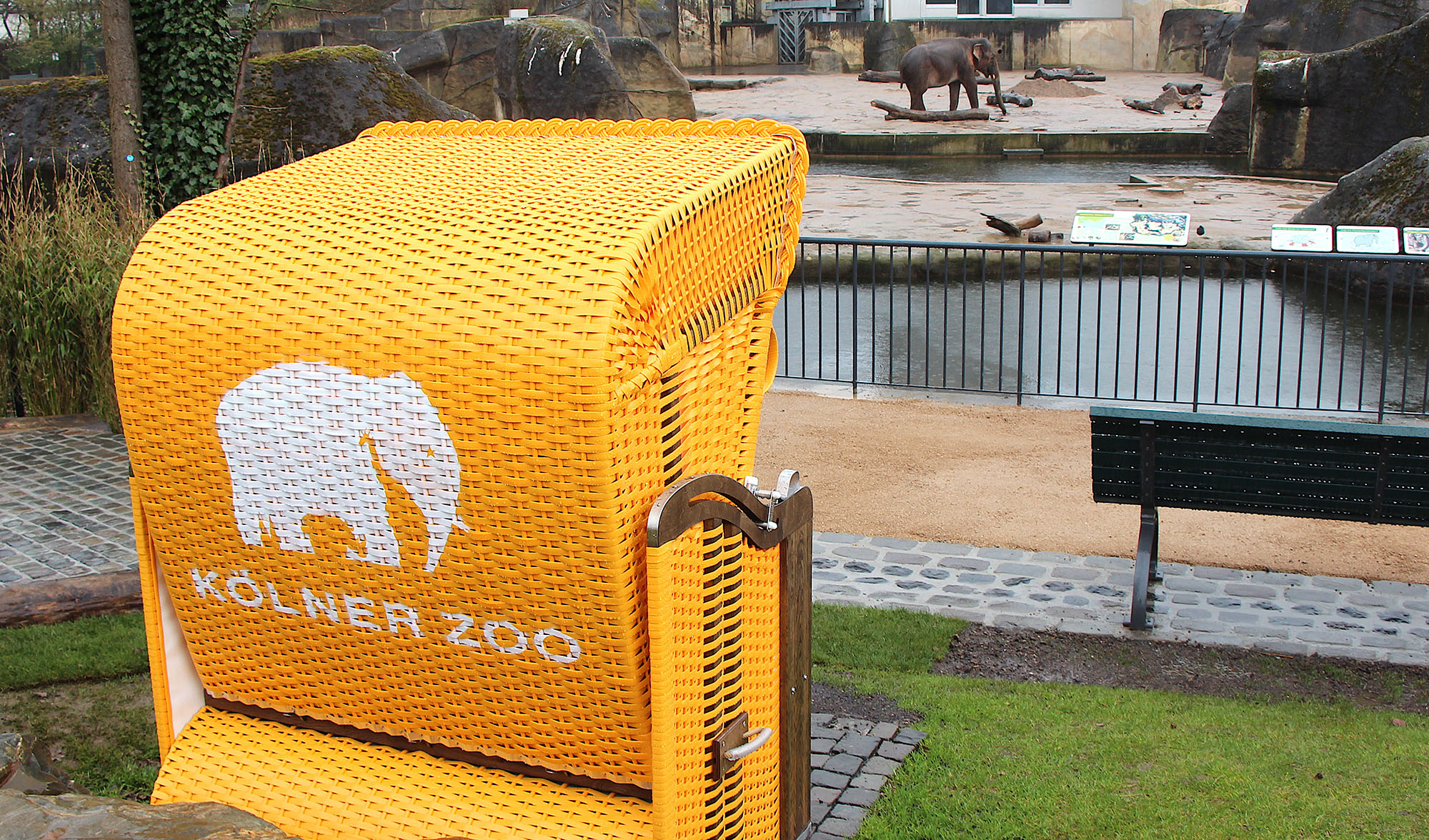 Das Foto zeigt im Hintergrund das Elefantengehege des Kölner Zoos, im Vordergrund einen gelben Strandkorb, aus dem man die Elefanten beobachten kann.
